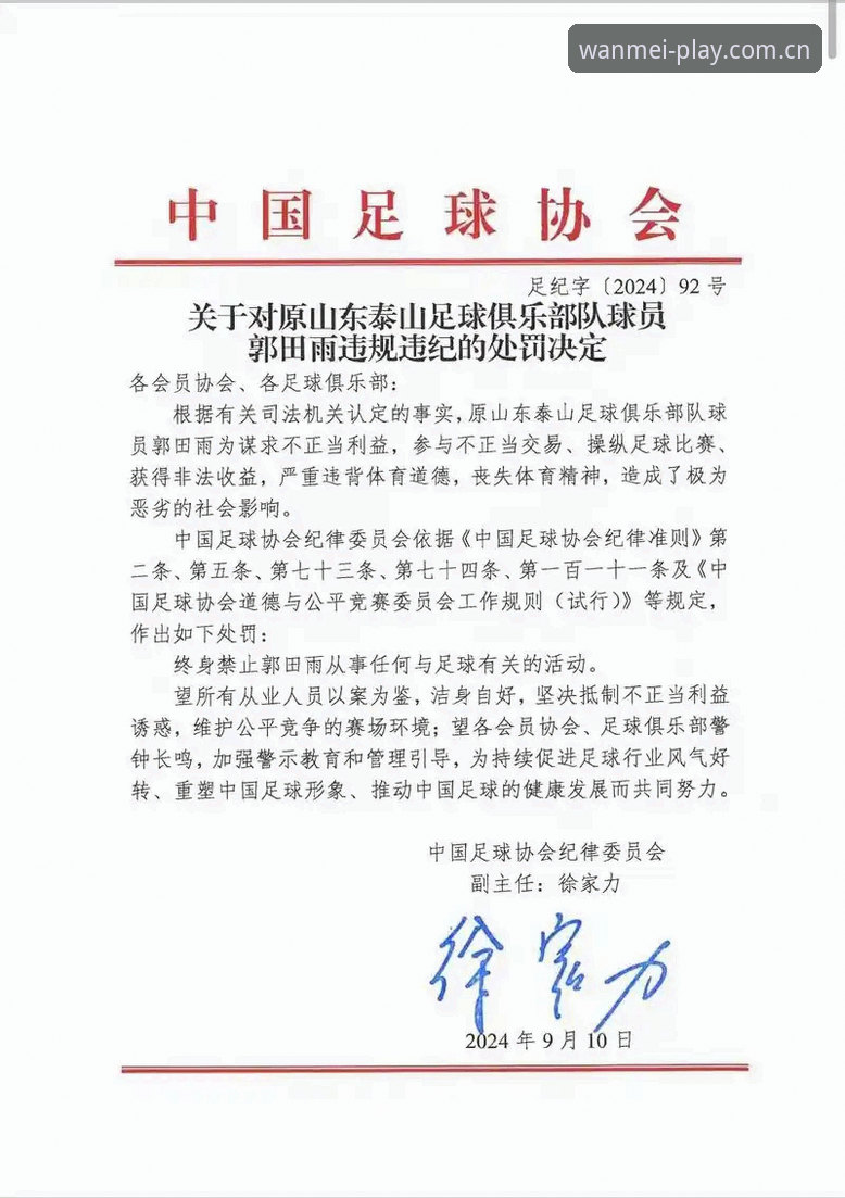 足协禁足完整指南：第三批处罚名单深度解读与操作手册